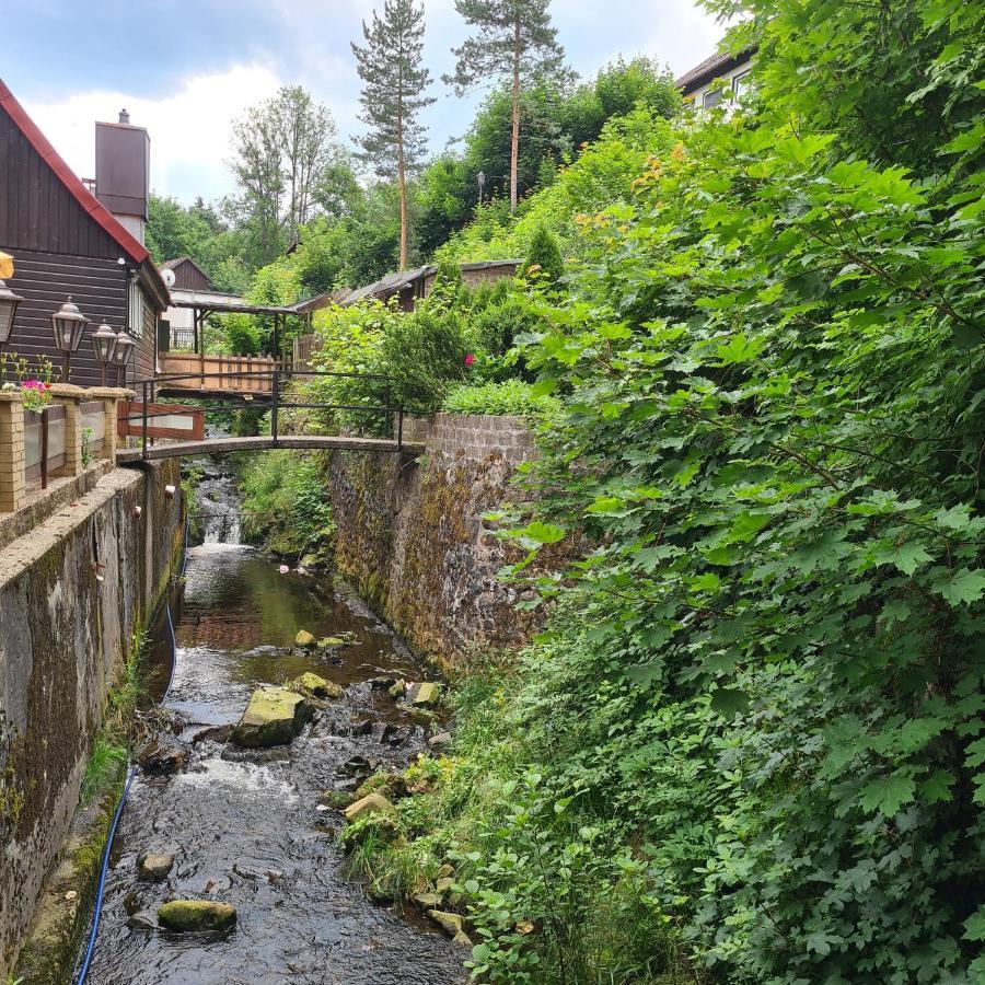 Harz Im Herzen Altenau  Exterior photo